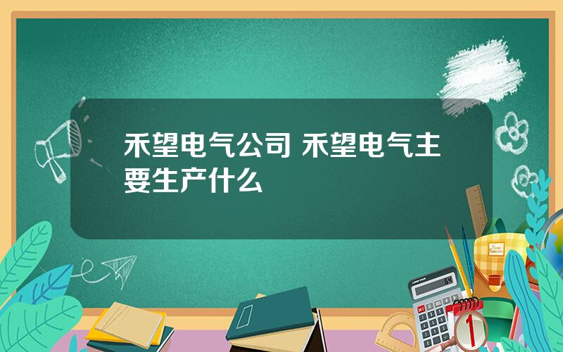 禾望电气公司 禾望电气主要生产什么